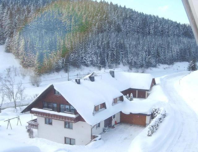 Ferienwohnung-Nr-1 Vöhrenbach Exterior foto